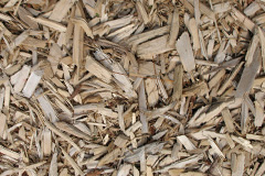 biomass boilers Tupton